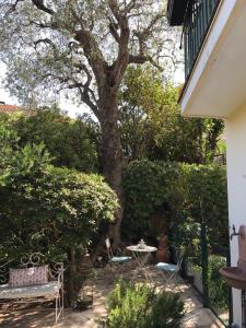Сад в "L'olivadou" ST JEAN CAP FERRAT