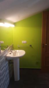 波托馬林的住宿－Pensión Boavista，一间带水槽和绿色墙壁的浴室