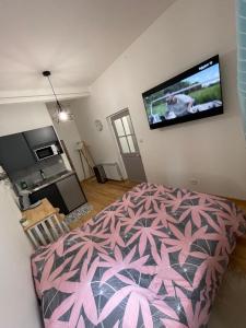 a bedroom with a bed and a flat screen tv on the wall at Studio #1 hyper centre Gordaine in Bourges