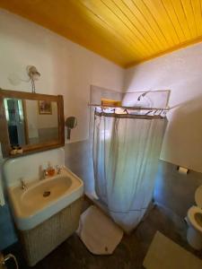 ein Badezimmer mit Waschbecken und Duschvorhang in der Unterkunft El Rancho Azul, casona antigua con piscina in Ciudad Lujan de Cuyo