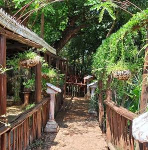 a wooden fence with potted plants in a garden at Duck and Dine in Pretoria