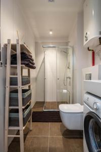 een badkamer met een douche, een toilet en een wastafel bij Sunset Apartment in Juodkrantė