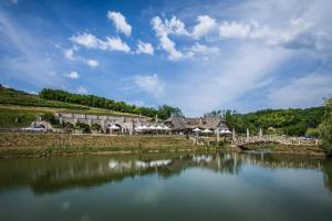 vistas a un río con edificios y un puente en Bodri Pincészet, en Szekszárd