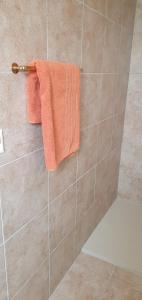 Savièse的住宿－L'Aurosée，淋浴墙上挂着的橙色毛巾