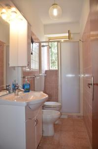 La salle de bains est pourvue de toilettes, d'un lavabo et d'une douche. dans l'établissement Gole dell'Alcantara Villa Lucia II, à Motta Camastra