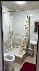 a bathroom with a shower and a toilet and a sink at Orzu Guest House in Bukhara