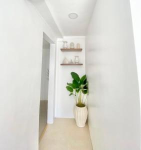 a white hallway with a plant in a vase at NEW Modern Suite near Airport & Beach in Sudtungan