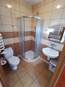a bathroom with a shower and a toilet and a sink at Agrostrzecha in Ryczów