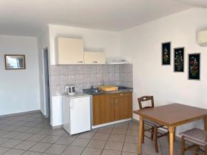 Kuchyň nebo kuchyňský kout v ubytování Apartment Anic