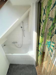 Habitación con baño con ducha y bañera. en Le Bohème - Centre de Paris - Belle vue - Wifi en París