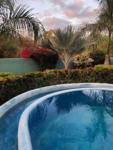 une grande piscine bleue bordée de palmiers et de buissons dans l'établissement Casa Chilli entire private house with pool, à Troncones
