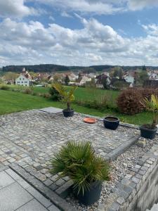 un grupo de plantas en macetas sentadas en un patio en Apartment „Am Südhang“, en Odelzhausen