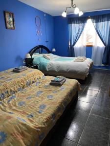 2 camas en una habitación con paredes azules en GAVIMAR en Ushuaia