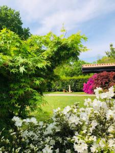 A garden outside LA CASETTA Malpensa Guesthouse