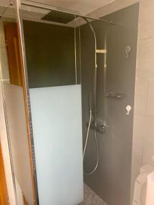 カロンザナにあるStudio Pinzali Avec Mezzanineのバスルーム(ガラスドア付きのシャワー付)