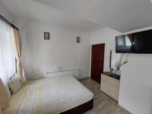 1 dormitorio con 1 cama y TV de pantalla plana en Къща за гости Иглика, en Trigrad
