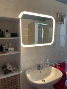 bagno con lavandino e specchio di Residence Gli Ulivi a Castion Veronese