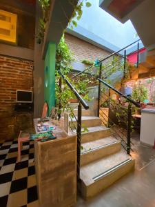 Zahrada ubytování Imagine hostel + 37 fotografií