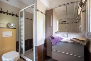 ein Bad mit einem WC, einem Waschbecken und einer Dusche in der Unterkunft Marion plage in Cagnes-sur-Mer