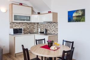 Kuchyňa alebo kuchynka v ubytovaní Apartments Villa Ankora