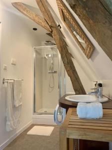 bagno con doccia e lavandino di Appartement cosy vue sur le vignoble a Sancerre