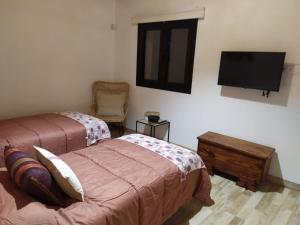 een slaapkamer met 2 bedden en een flatscreen-tv bij villa los vaqueros in Garafía
