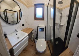 a bathroom with a toilet and a sink and a shower at Dzik w zagrodzie in Borsk