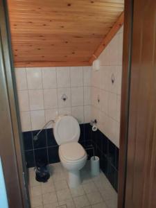 a bathroom with a toilet with a wooden ceiling at Attic close to sea(150m) in Leptokarya -Σοφίτα in Leptokaria
