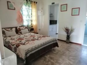ein Schlafzimmer mit einem Bett in einem Zimmer in der Unterkunft koeuris apartment in La Gaulette
