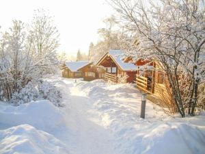 uma cabana de madeira na neve com árvores cobertas de neve em Ferienhaus Bayerischer Wald em Stamsried