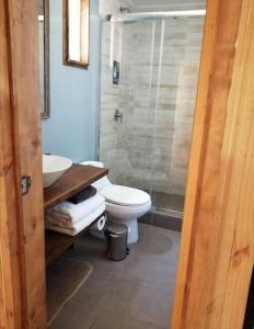 La salle de bains est pourvue de toilettes, d'un lavabo et d'une douche. dans l'établissement SaldeMar Playa Hermosa, à Pichilemu