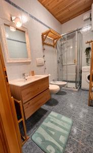 een badkamer met een wastafel, een toilet en een douche bij Casa Nina in Andalo