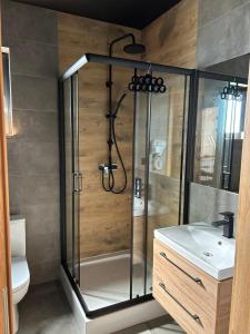 un bagno con doccia, wc e lavandino di Norbea a Sasino Altre 36 foto