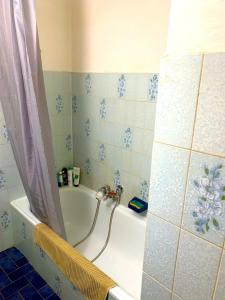 ein Badezimmer mit einer Badewanne mit Duschvorhang in der Unterkunft Chalet douillet tout confort in Valdeblore