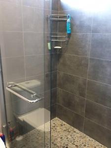 a shower with a glass door next to a toilet at Serenity 465 in De Kelders