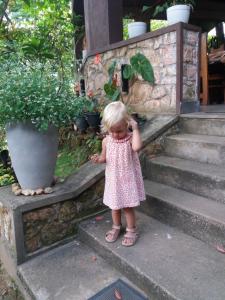Fotografie z fotogalerie ubytování Ella green stay v destinaci Ella