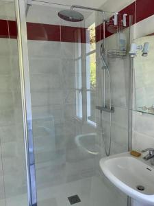 a bathroom with a shower and a sink at Moulin de Battereau - Jardin & Verger - 9km d'Amboise in Saint-Martin-le-Beau