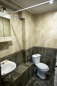 a bathroom with a toilet and a sink at Razsukanova house , Разсукановата къща in Elena