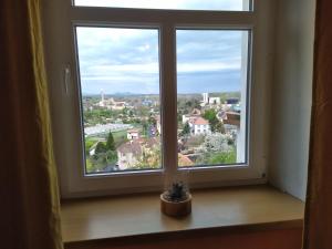Fotografie z fotogalerie ubytování Apartmany Žatec v Žatci