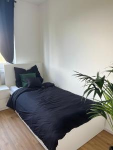 ein Schlafzimmer mit einem Bett mit einer schwarzen Bettdecke und einer Pflanze in der Unterkunft Monteur-& Ferienwohnung Eichmann in Dresden