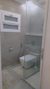 開羅的住宿－Zamalek Two-Bedroom Apartement Nile View，一间带卫生间和玻璃淋浴间的浴室
