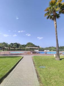 a walkway with a palm tree in a park at Apartamento bonito - playas las Deveses in El Verger +10 photos