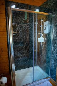 La salle de bains est pourvue d'une douche avec une porte en verre. dans l'établissement George Cabin - Log Cabin in Wales with Hot tub, à Newtown