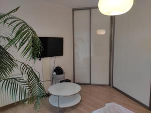 TV a/nebo společenská místnost v ubytování Apartament Nadmorski + 8 fotografií
