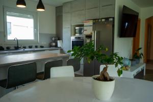 a kitchen with a table with a potted plant on it at Guest house TOMAN in Bled