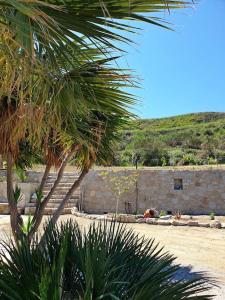 ein Gebäude mit einer Palme und einer Wand in der Unterkunft Anna's Cottage Home in Galini