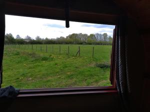 Ogród w obiekcie Roulotte irlandaise Polly