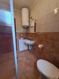 a bathroom with a toilet and a sink at Šumska idila Rakovac in Zmajevac