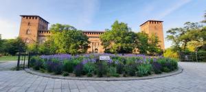 un jardin avec des fleurs violettes en face d'un bâtiment dans l'établissement R & A Minerva Suites, à Pavia