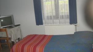 a bedroom with a bed and a tv and window at Farm stay Lackovic in Bilje